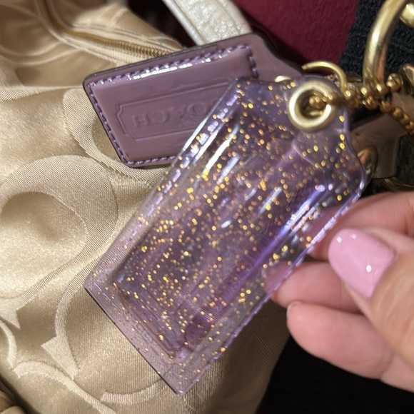 Coach Beautiful Metallic Tan Poppy Bag - Picture 6 of 12